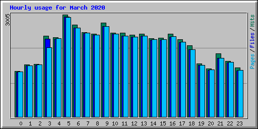 Hourly usage for March 2020