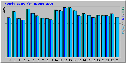 Hourly usage for August 2020